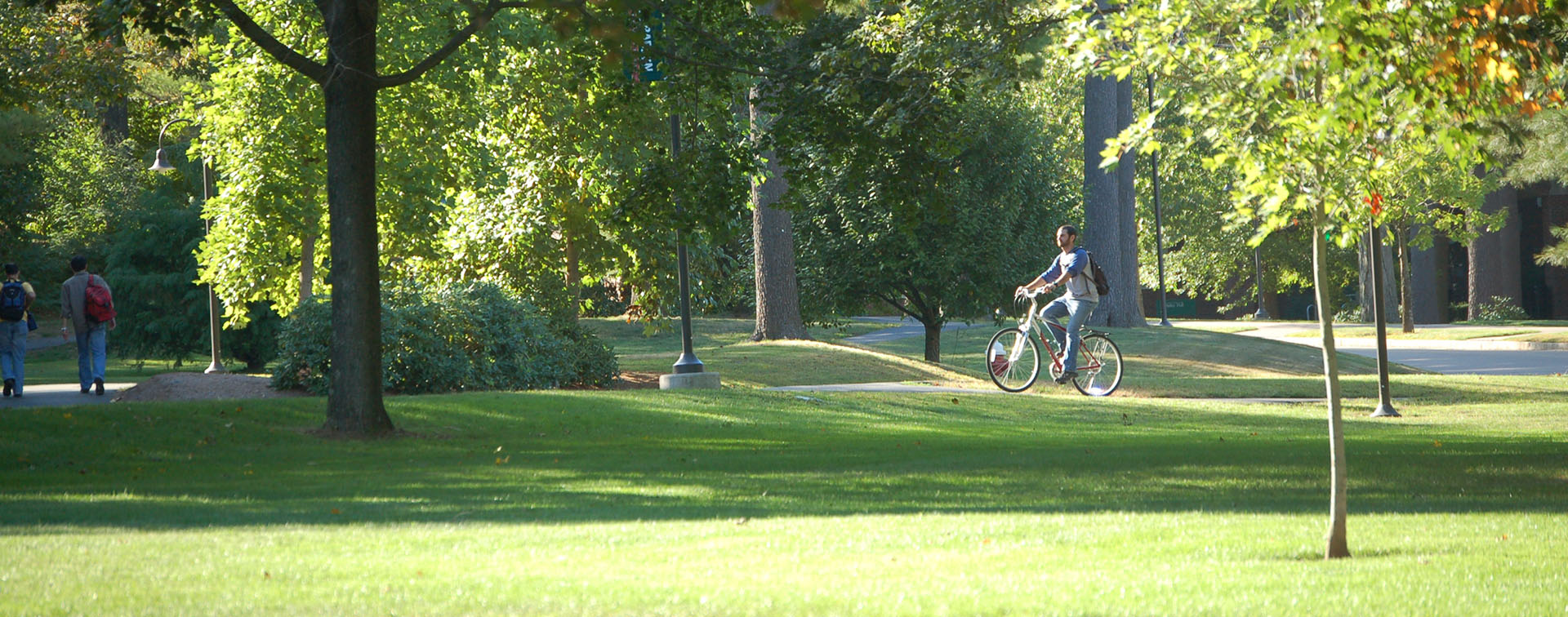 Man on a bike through lush green commons