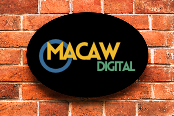 Babson Street Macaw Digital Marketing