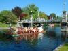 Swan Boats at the Boston Public Garden