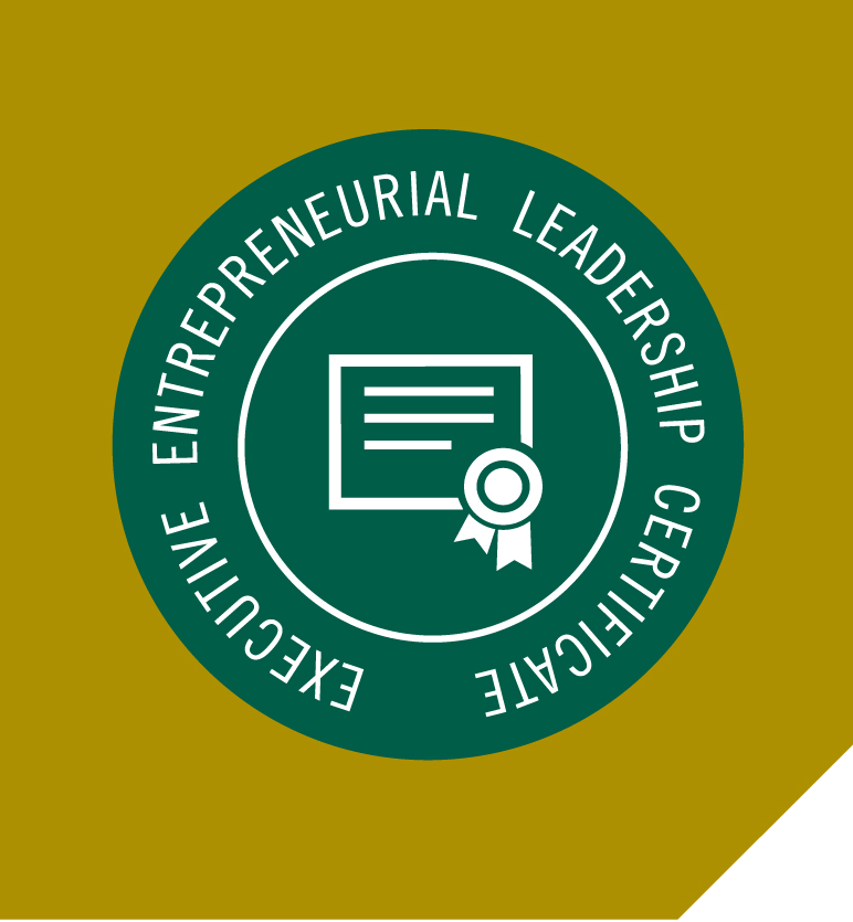 New badge for E leadership Certificate