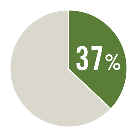 37% increase in enrolled international students