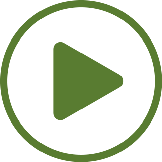 Play Button Icon
