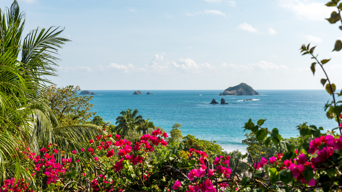 View of Ocean and Tropical Flowers