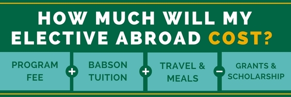 Elective Abroad Cost Infographic