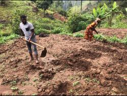 Student working in a field