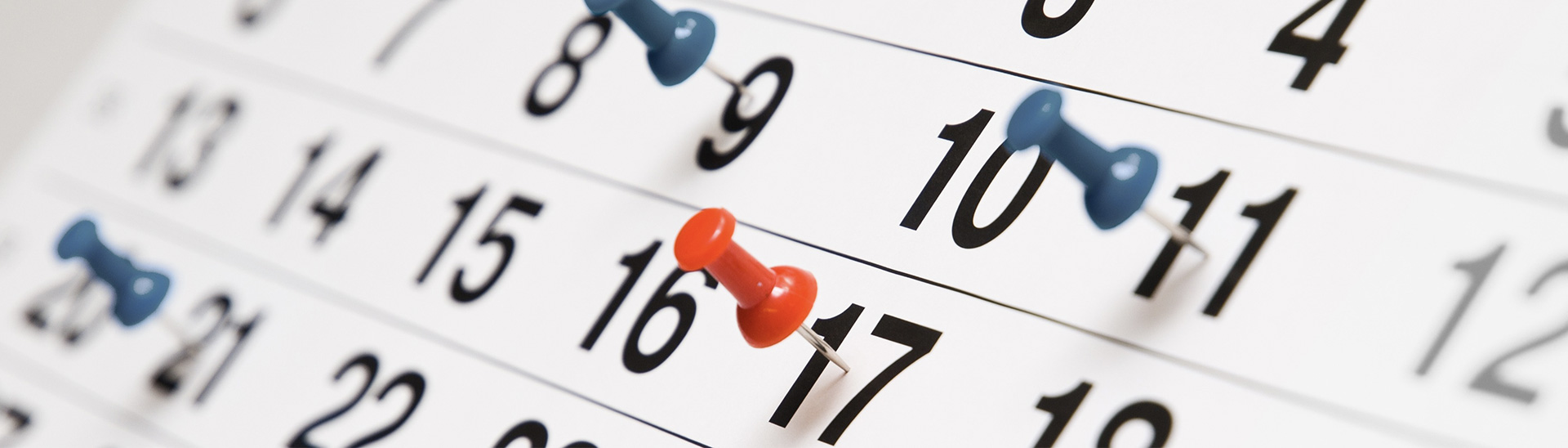 Babson 2024 2025 Calendar Conny Diannne