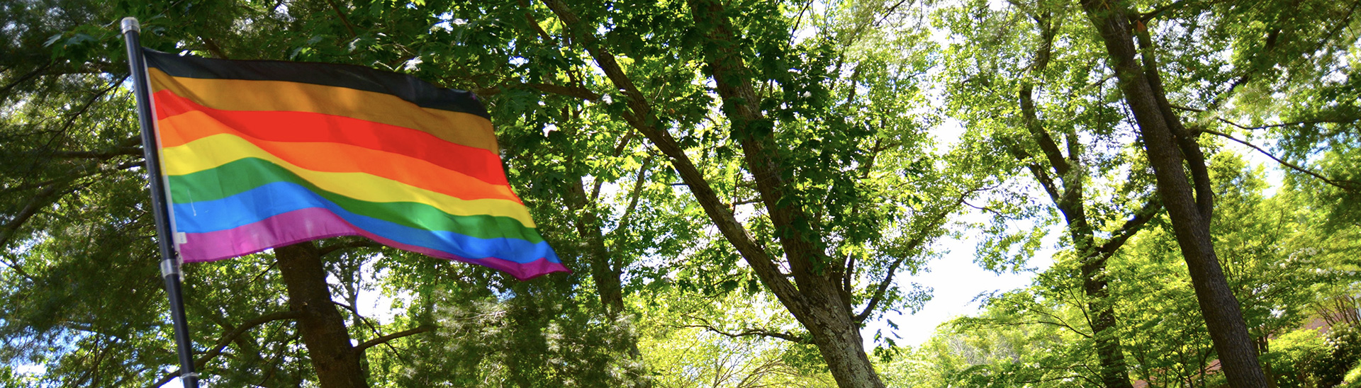 Waving rainbow flag