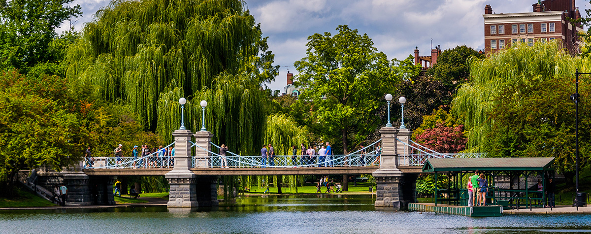 Bridge over pond in a garden