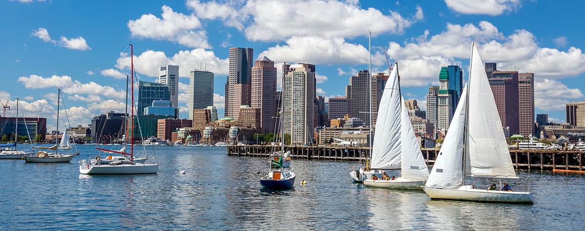 Boats in a harbor with buildings on the background