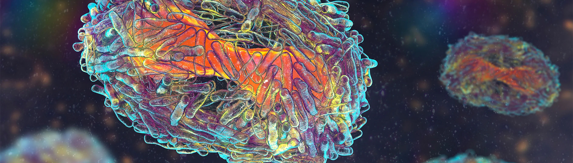 Header Monkeypox Virus Monkeypox