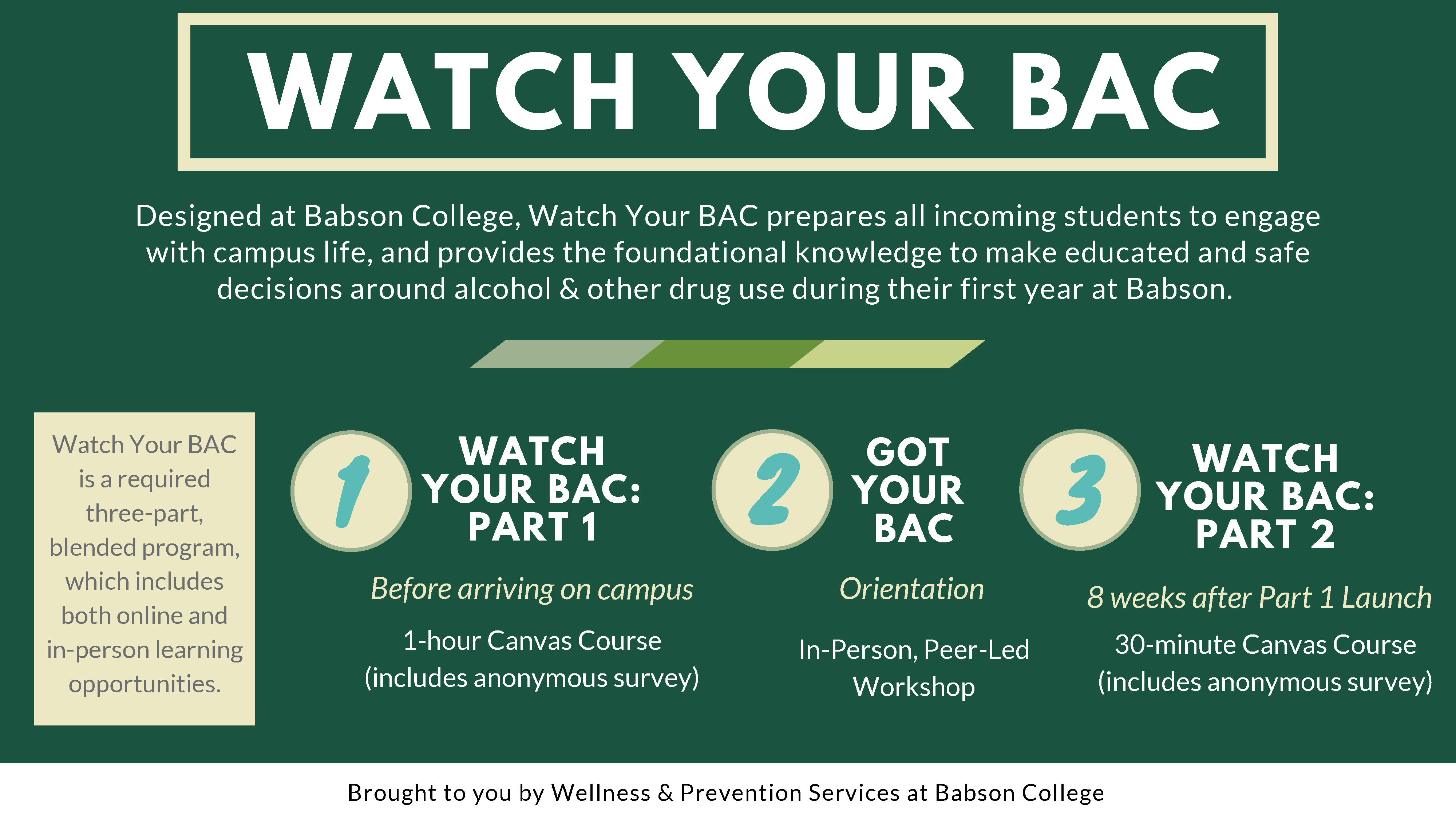 Watch Your BAC Overview 2024