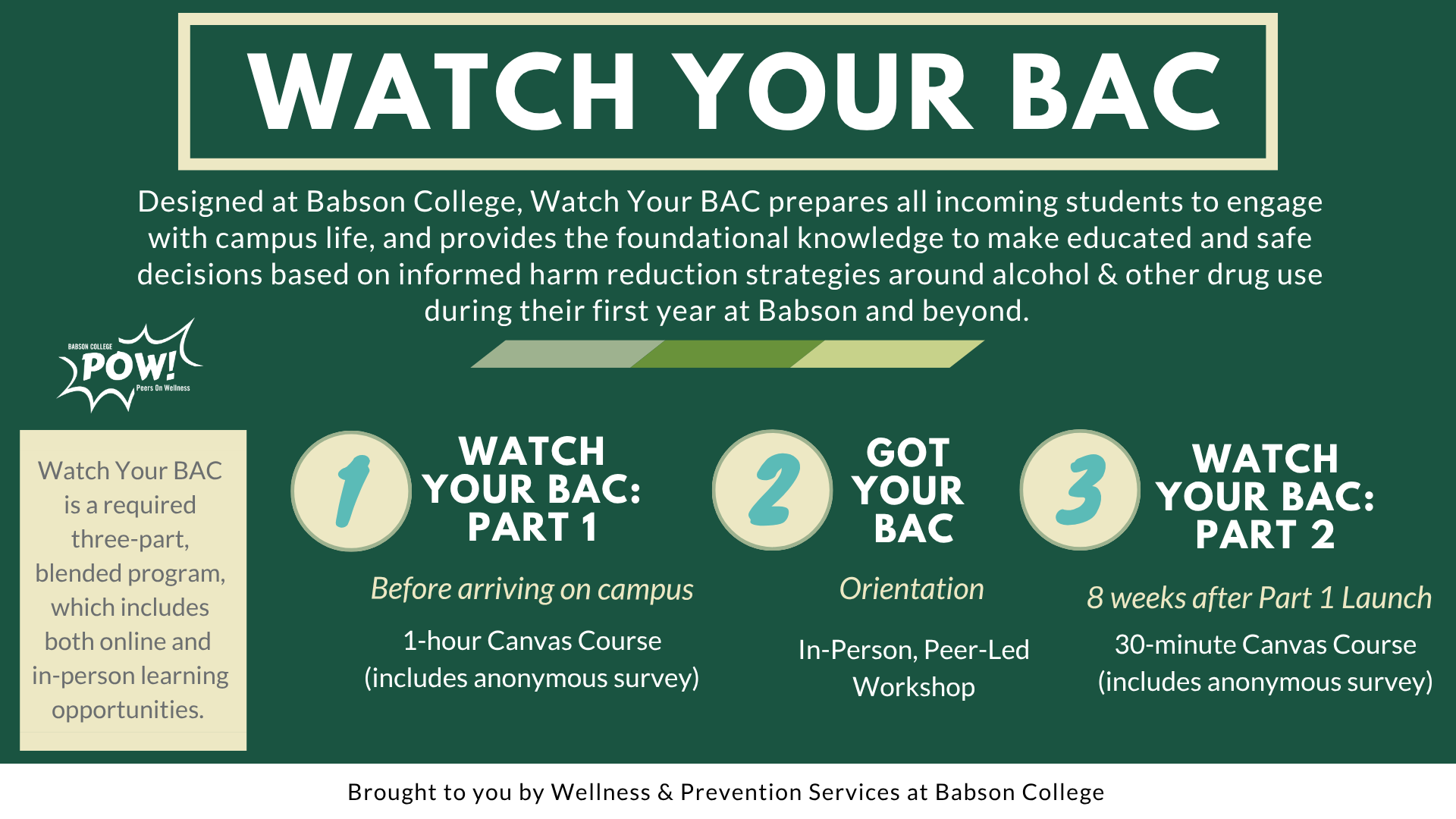 Watch Your BAC Overview updated