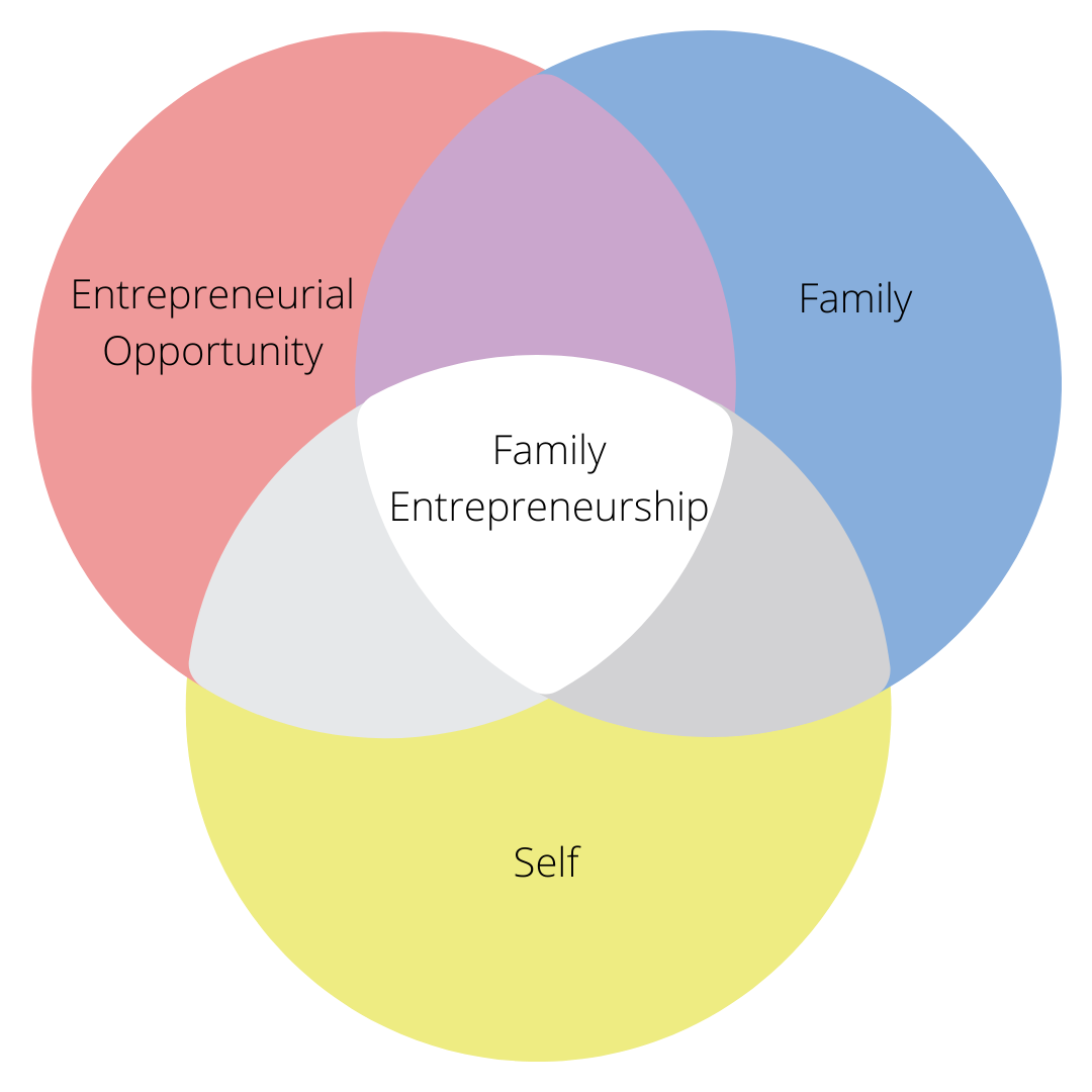 Family Entrepreneurship 3 circle model