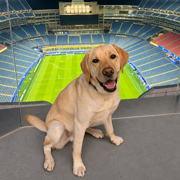 Hero Gillette Stadium