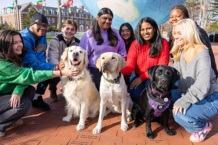 Roger, Hero & Gracie