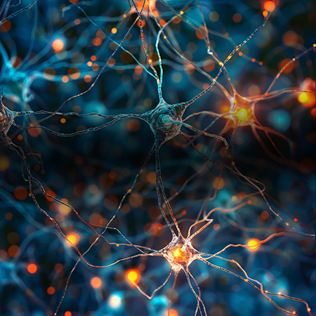 AI & ML Empowerment