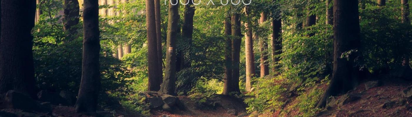 1400x457