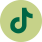 TikTok Logo